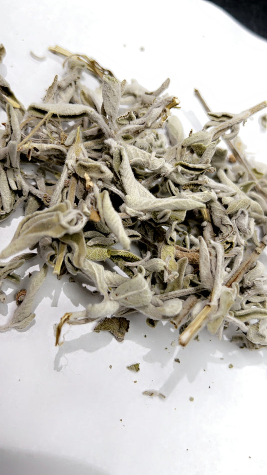 Marmia from palestine (25g)