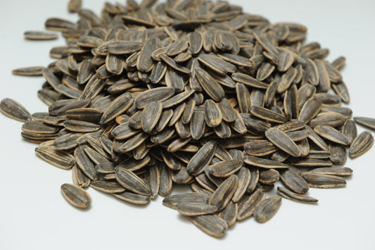 Sunflower Seeds