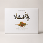 YAFA Baklava Assortment 29.9OZ