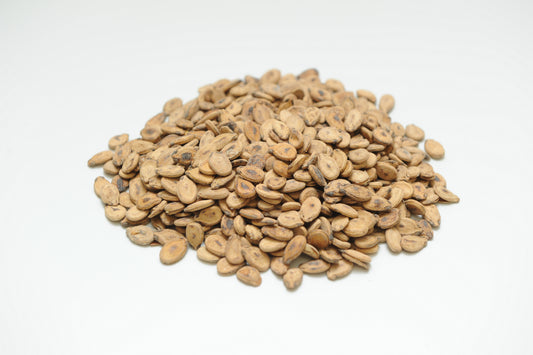 Abu Nugta Palestinian Seeds - Salted